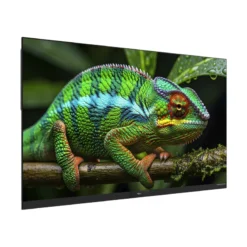 Optoma ProScene FHDC163 AiO Display – Bild 3