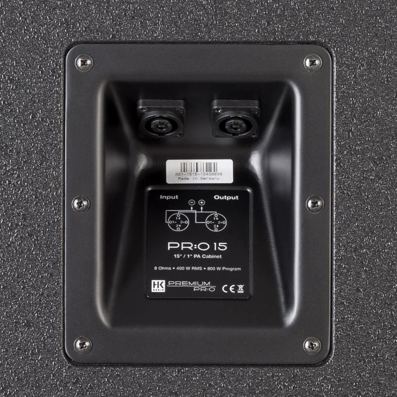 HK-Audio-PRO-15-anschlüsse.webp